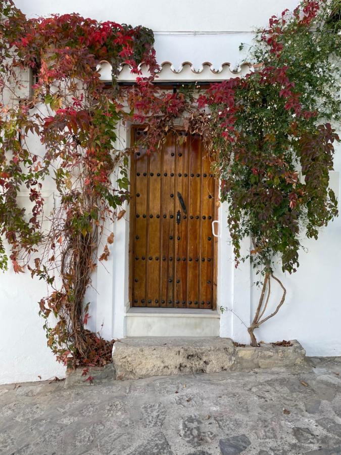 Cuevas Del Penon - Loft Torreon * Grazalema